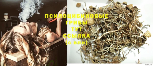 мдпв Фурманов