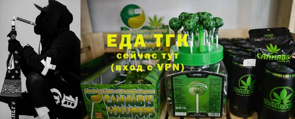 индика Нягань