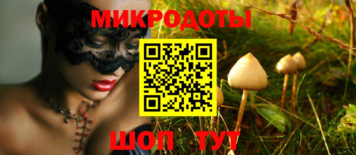 Псилоцибиновые грибы Psilocybe  Вход с VPN  Белогорск 