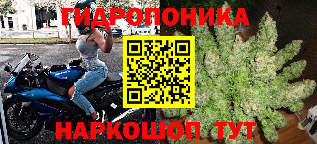 Бошки марихуана Bruce Banner Белогорск